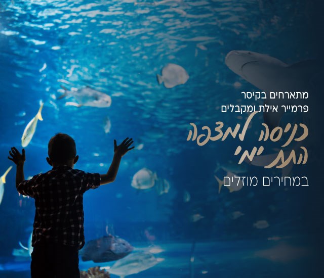 כניסה מוזלת למצפה התת ימי באילת למתארחי המלון