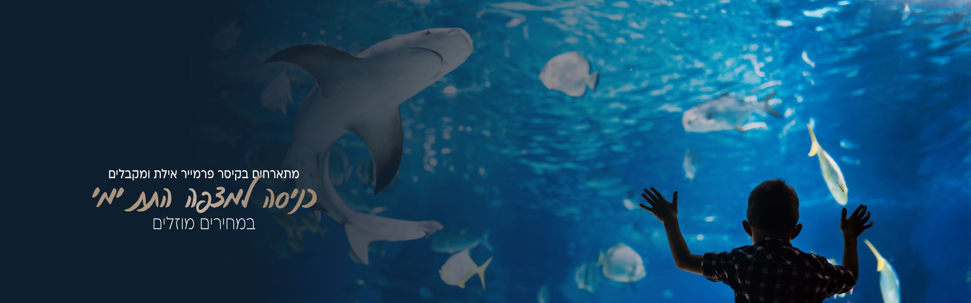 כניסה מוזלת למצפה התת ימי באילת למתארחי המלון