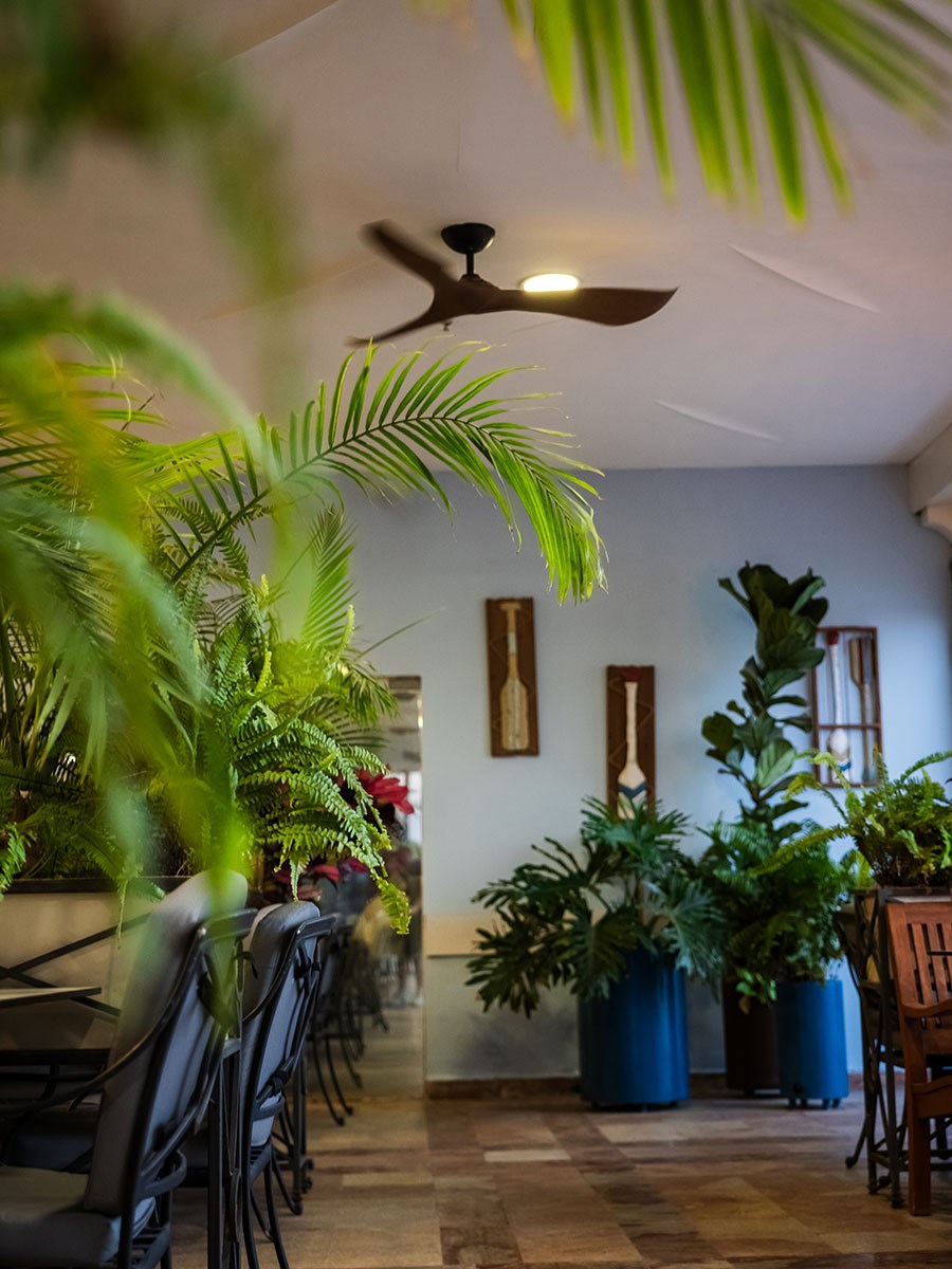 מרפסת נוף מרפסת נוף