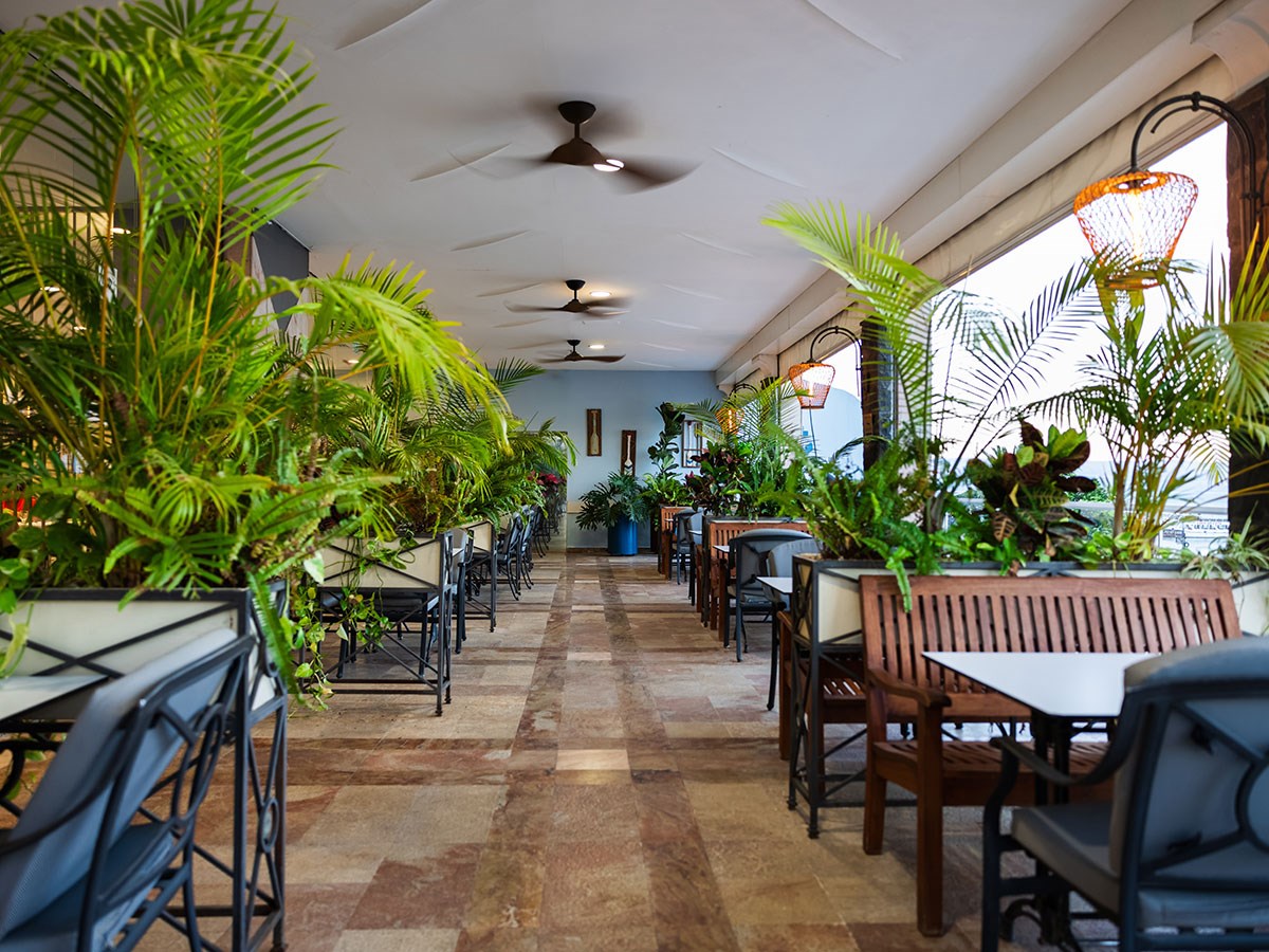 מרפסת נוף לכנרת מרפסת נוף לכנרת